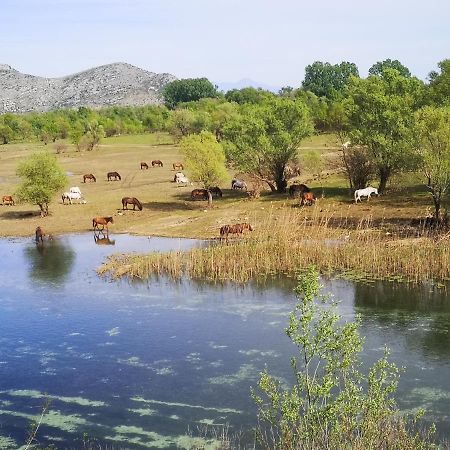 Wild Beauty House Skadar Lake Cetinje Eksteriør bilde